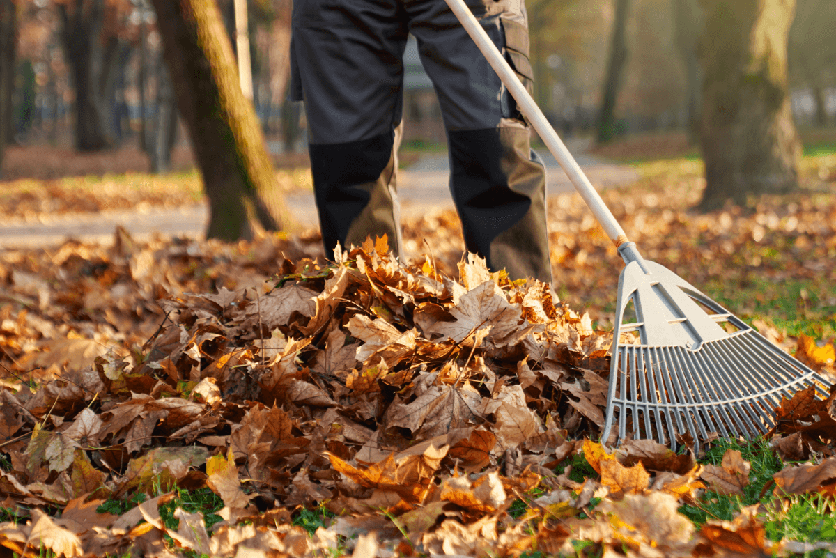 Landscaping services in Pelham