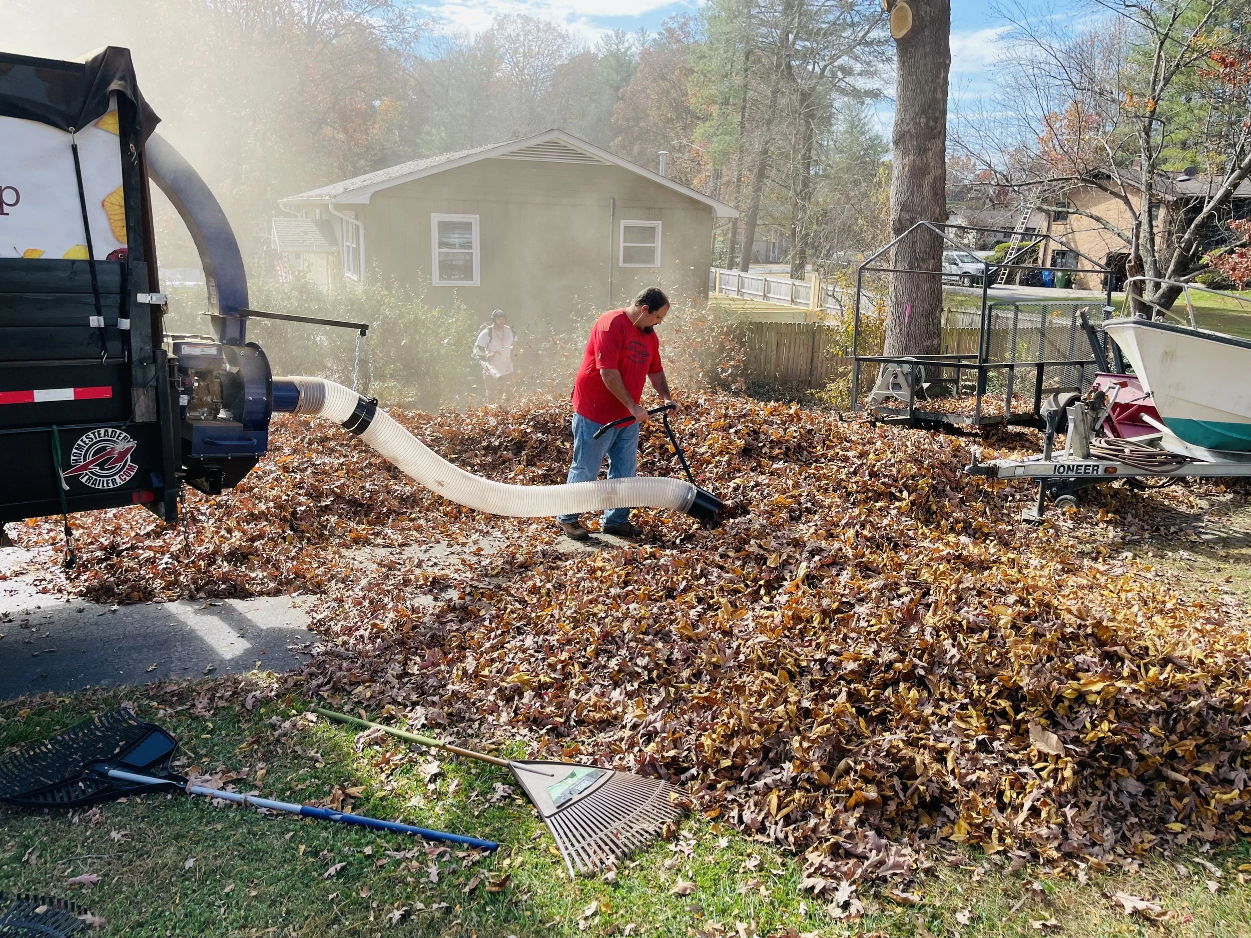 Leaf Removal example 1