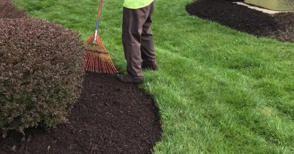 Mulch Installation example 7