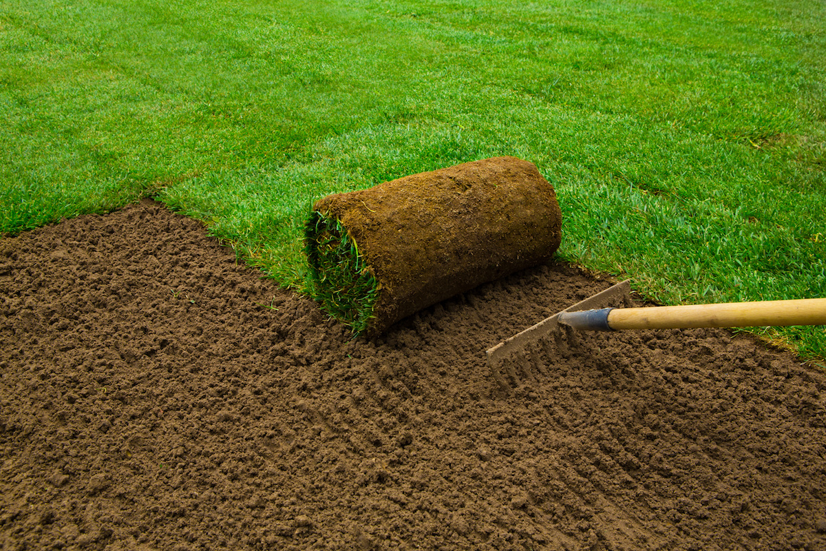 Sod Installation example 3